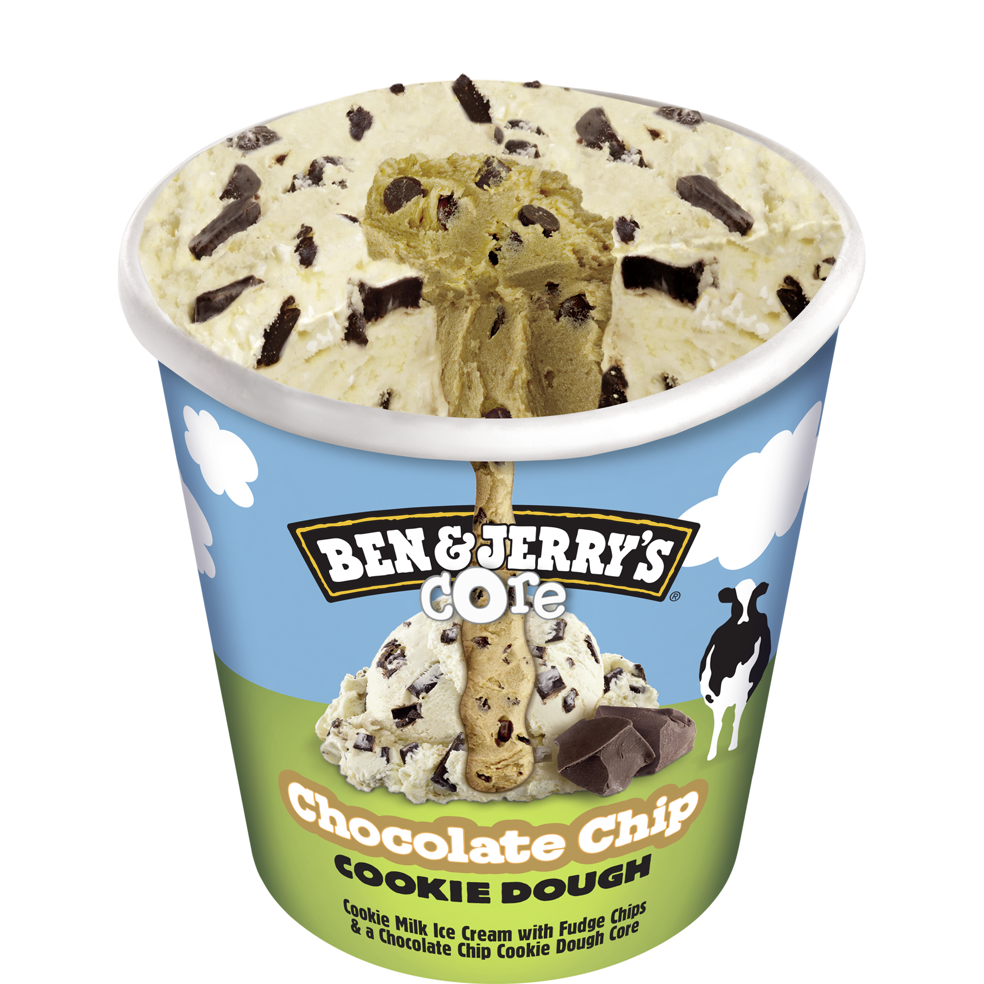 Chocolate Chip Cookie Dough Cookie Dough Core Pint