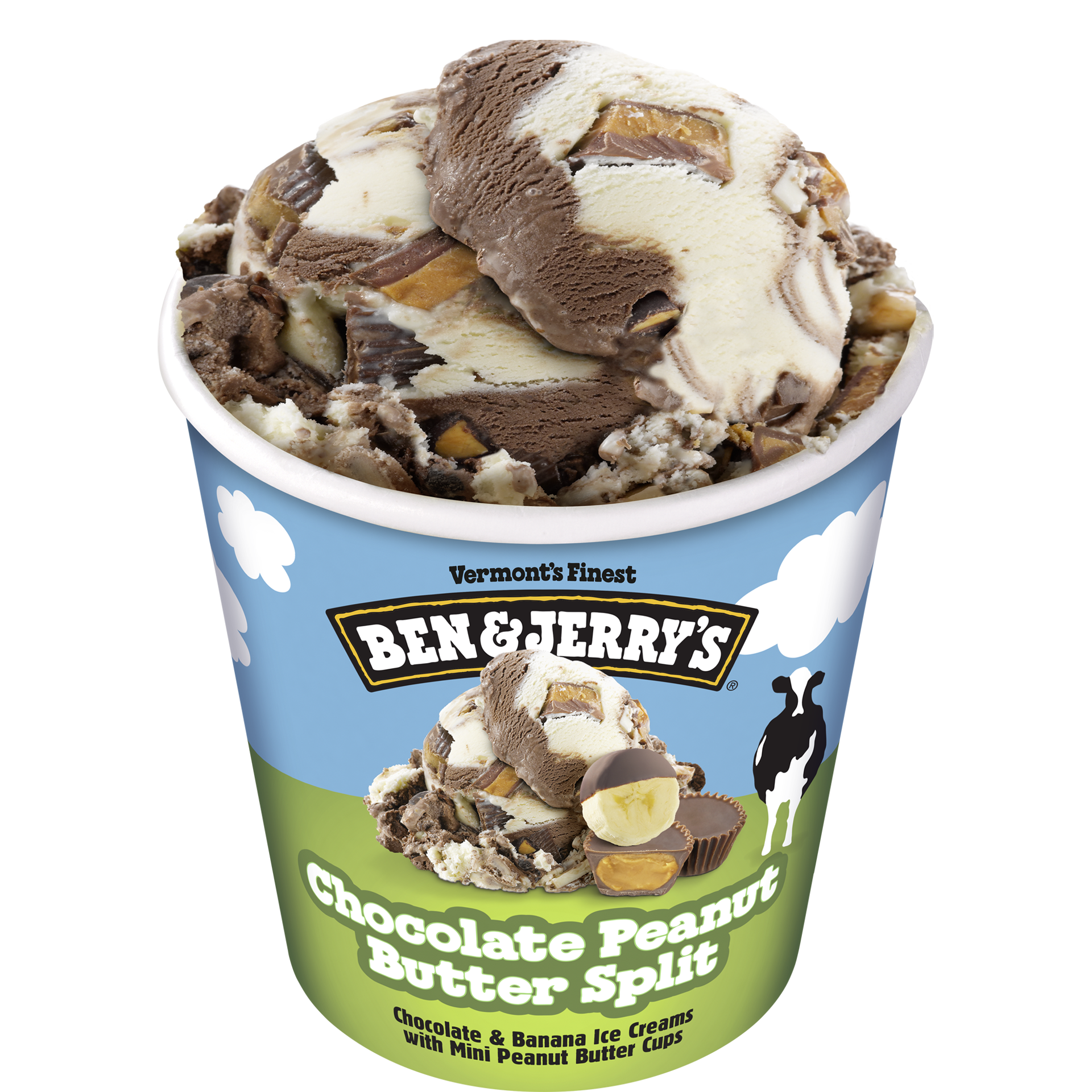 Chocolate Peanut Butter Split Original Ice Cream Pint