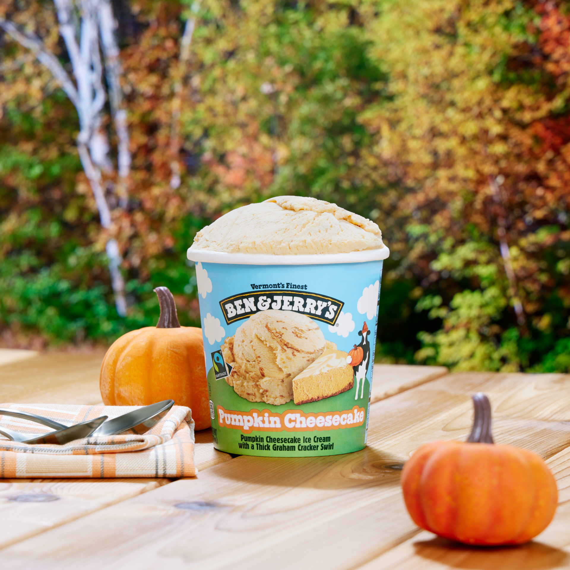 Pumpkin Cheesecake Ice Cream - Pint 5 / 5