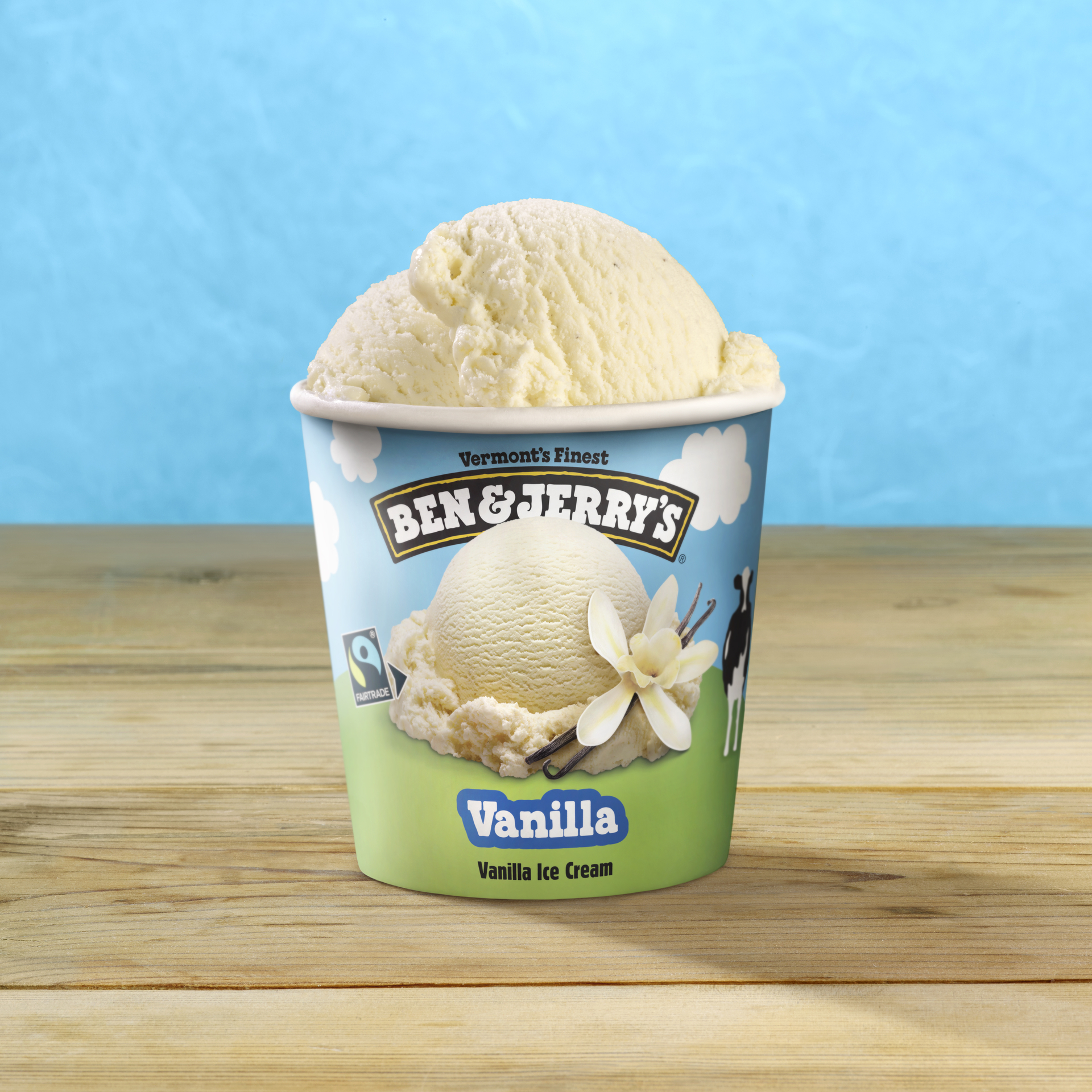 Vanilla Ice Cream - Pint 5 / 5