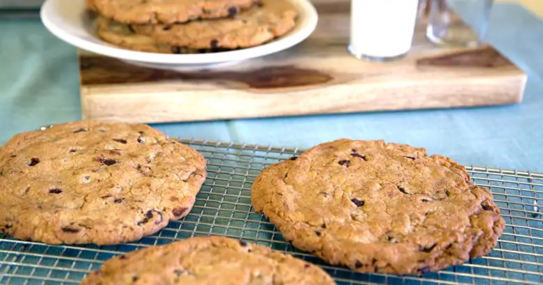 giant chocolate chip cookies