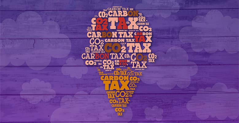 Ben & Jerry's announces internal company carbon tax