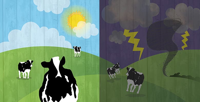 2702-climate-blog.jpg (caring dairy picket)