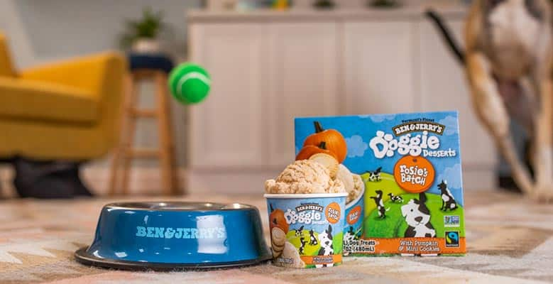 Pack of Rosie's Batch Doggie Desserts next to a Ben & Jerry's dog food bowl in a living room setting.