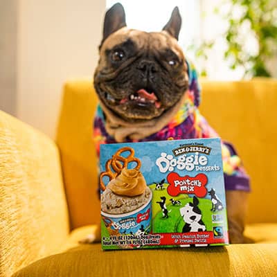 Pontch the dog with a pack of Pontch's Mix Doggie Desserts